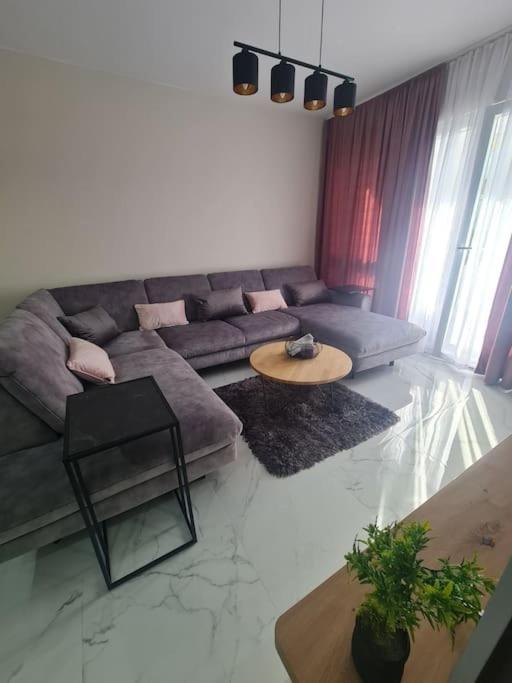 Mias Luxury Apartment 里耶卡 外观 照片