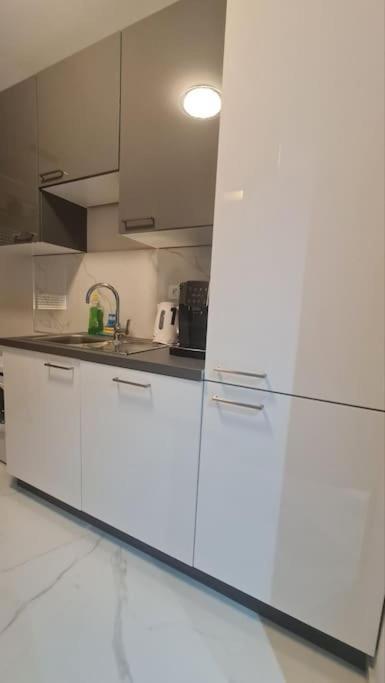 Mias Luxury Apartment 里耶卡 外观 照片