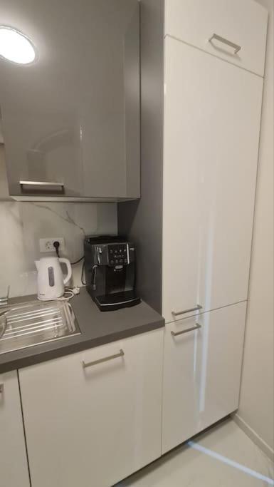 Mias Luxury Apartment 里耶卡 外观 照片