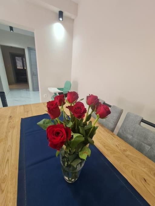 Mias Luxury Apartment 里耶卡 外观 照片